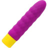 Минивибратор WOMANIZER Romp Beat RPBBSG4
